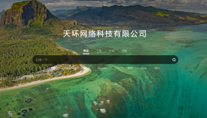 天环搜索导航页模板-Nick资源网