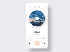 新拟物音乐播放器-Nick资源网